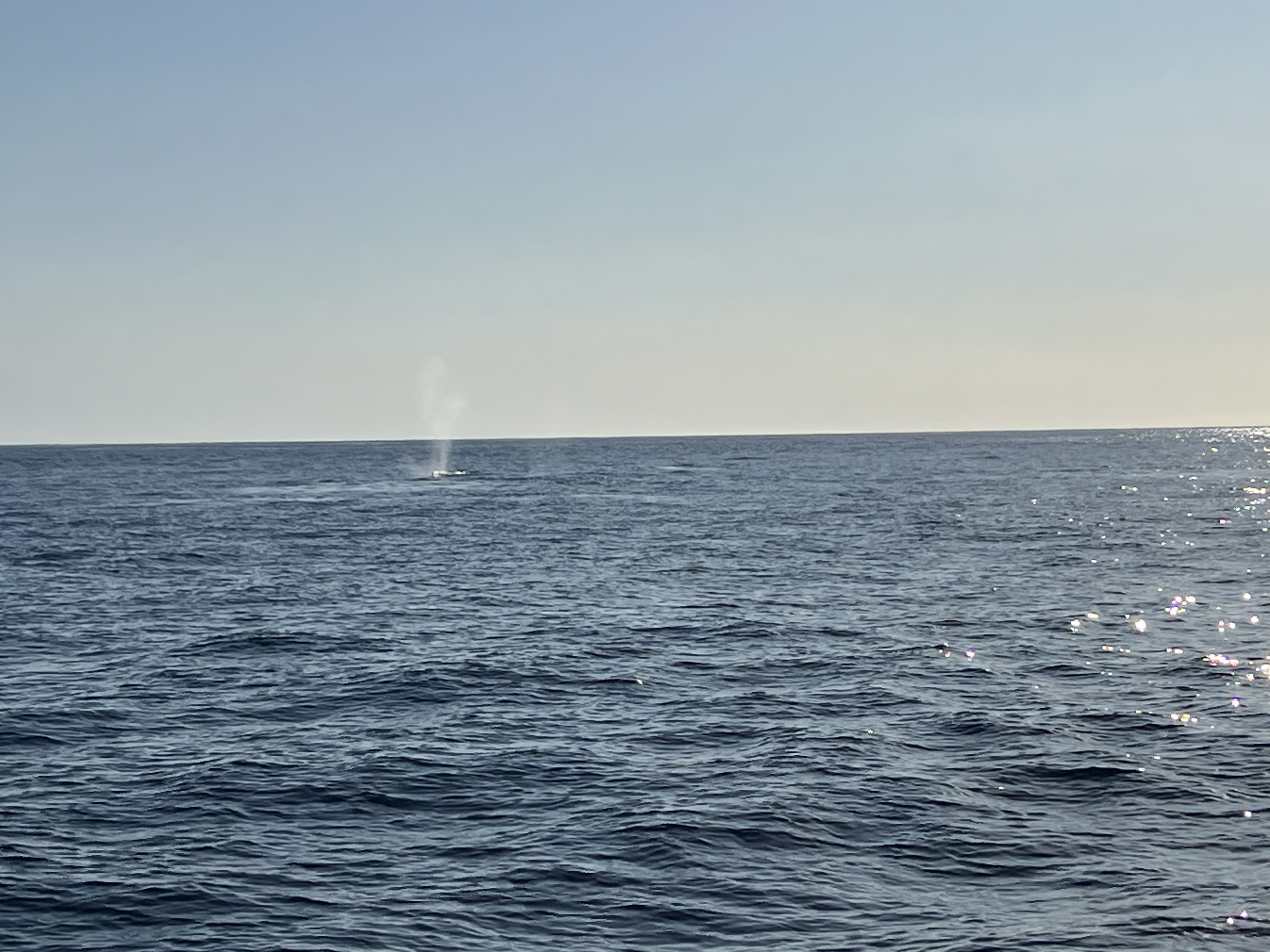 ./2024/13 - Cabo/IMG_4680.jpg